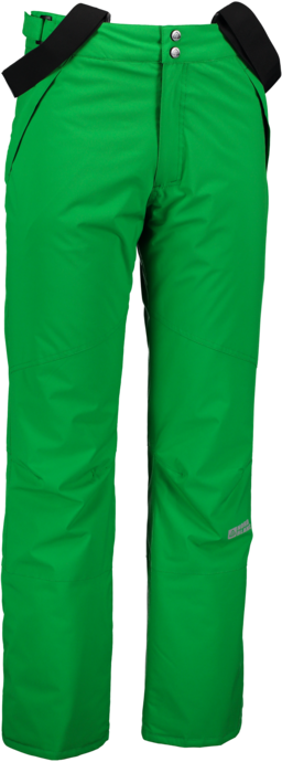 Herren Skihose grün CONTROL