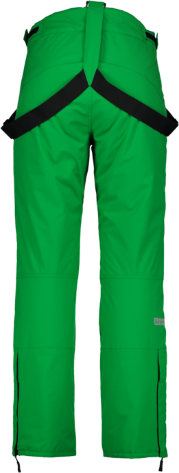 Herren Skihose grün CONTROL