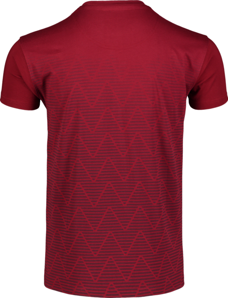 Men's wine red cotton t-shirt CRIMP
