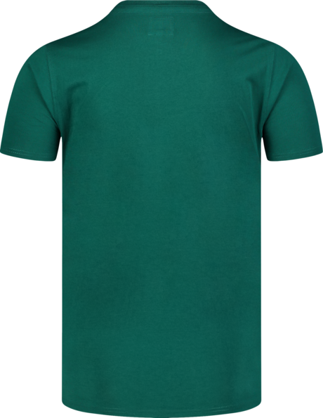 Men's green cotton t-shirt COLOUR