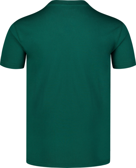 Herren Baumwolle T-Shirt grün GREENWOOD