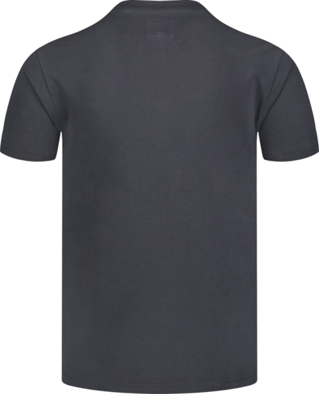 Herren Baumwolle T-Shirt grau SHADOWING