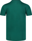 Men's green cotton t-shirt COLOUR